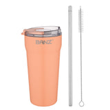 Travel Cup with free stainless steel straw and cleaner